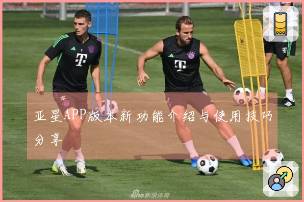 亚星APP版本新功能介绍与使用技巧分享