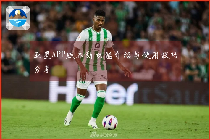 亚星APP版本新功能介绍与使用技巧分享